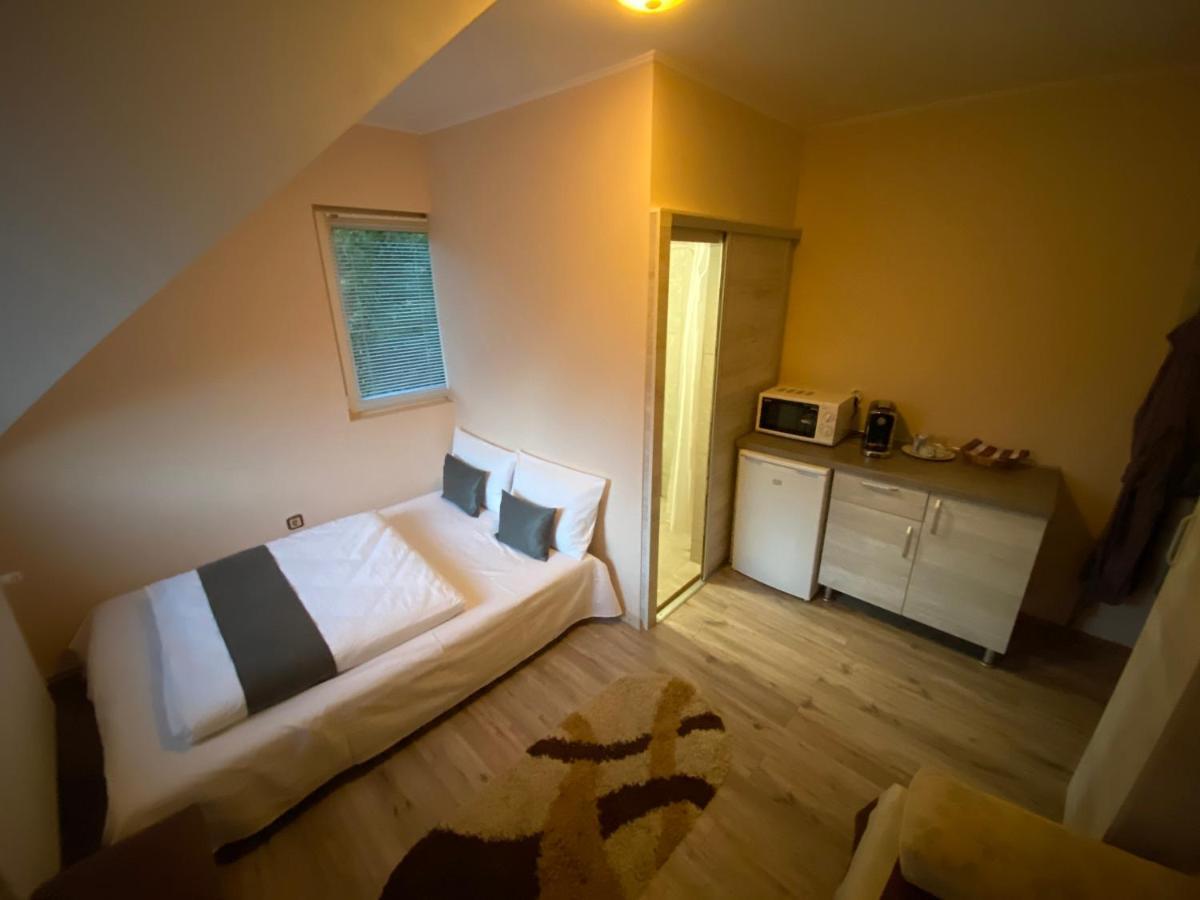Vila Eszter Hotel Szováta Kültér fotó